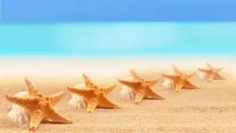 Infografia Premium Travel eng