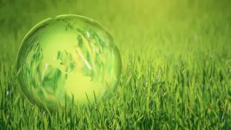 Hacia una inversion medioambiental sostenible