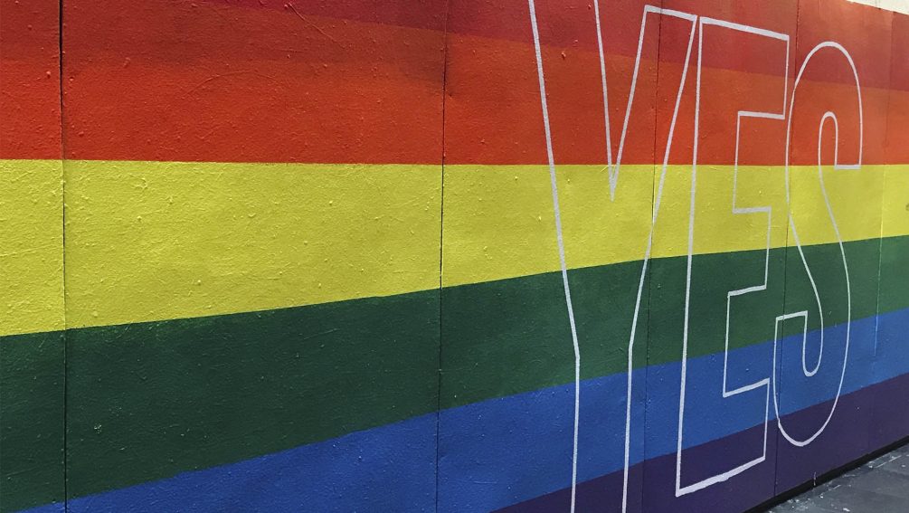 En pie por la inclusion