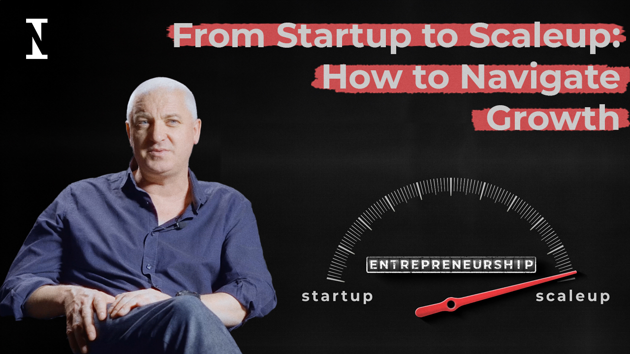 From Startup to Scaleup: How to Navigate Growth | IE Insights