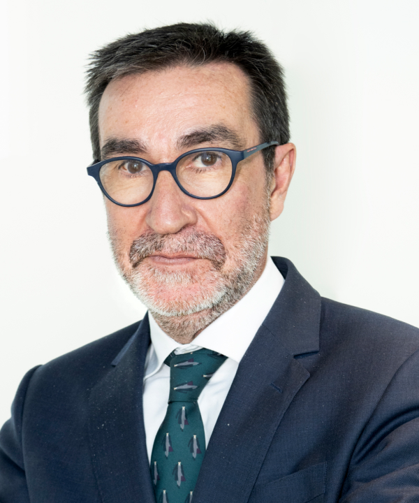 Vicesecretario general de Telefónica