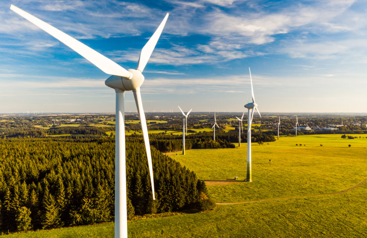 Combining sustainability and business for an impactful career