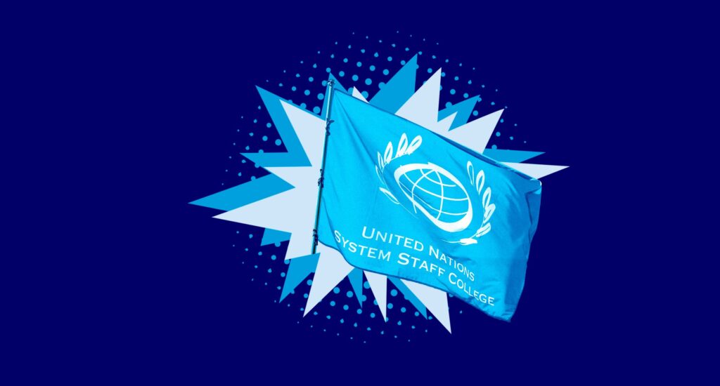 UNSSC higher education partnerships
