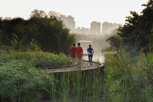 View of Urban planning for climate resilience: Adapting cities to challenges