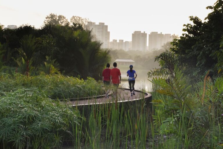 Urban planning for climate resilience: Adapting cities to challenges