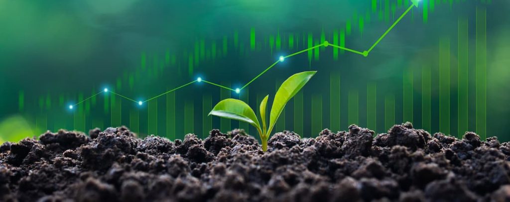 sustainable finance